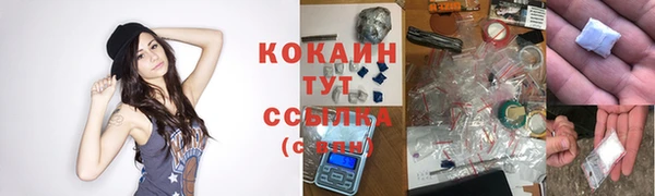 прущий лед Киренск