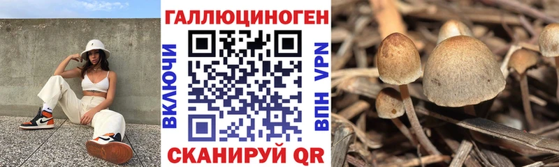Купить  Балаково  Галлюциногенные грибы ЛСД 